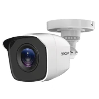 videovigilancia